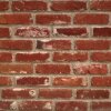 Кирпичные стены: Основные виды и характеристики кирпича. Как выбрать облицовочный кирпич. Кладочный раствор и его стоимость.
